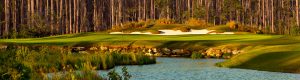 Cape Fear National Golf Course at Brunswick Forest in Leland NC