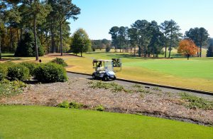 golf cart on myrtle beach golf course