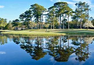 Olde Point CC